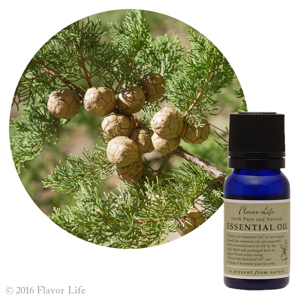 サイプレス 【フレーバーライフ社製】