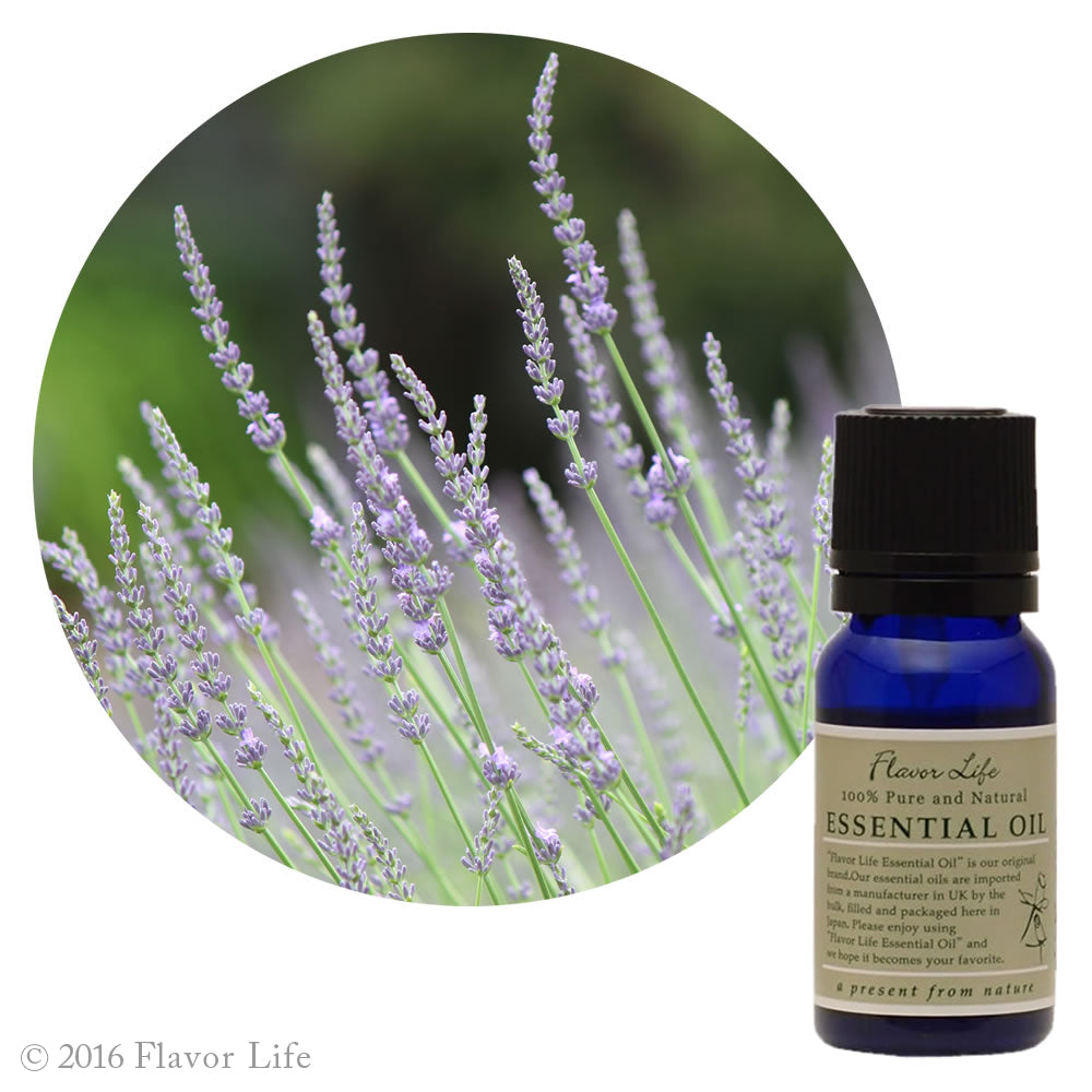 ラバンディン・グロッソ 【フレーバーライフ社製】