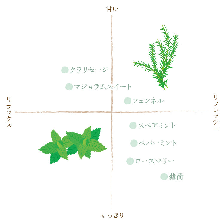 薄荷（和精油）　【フレーバーライフ社製】